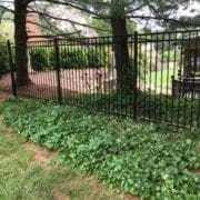 Knox Fence | For A Beautiful Ornamental Fence Call Knox Fence Today!