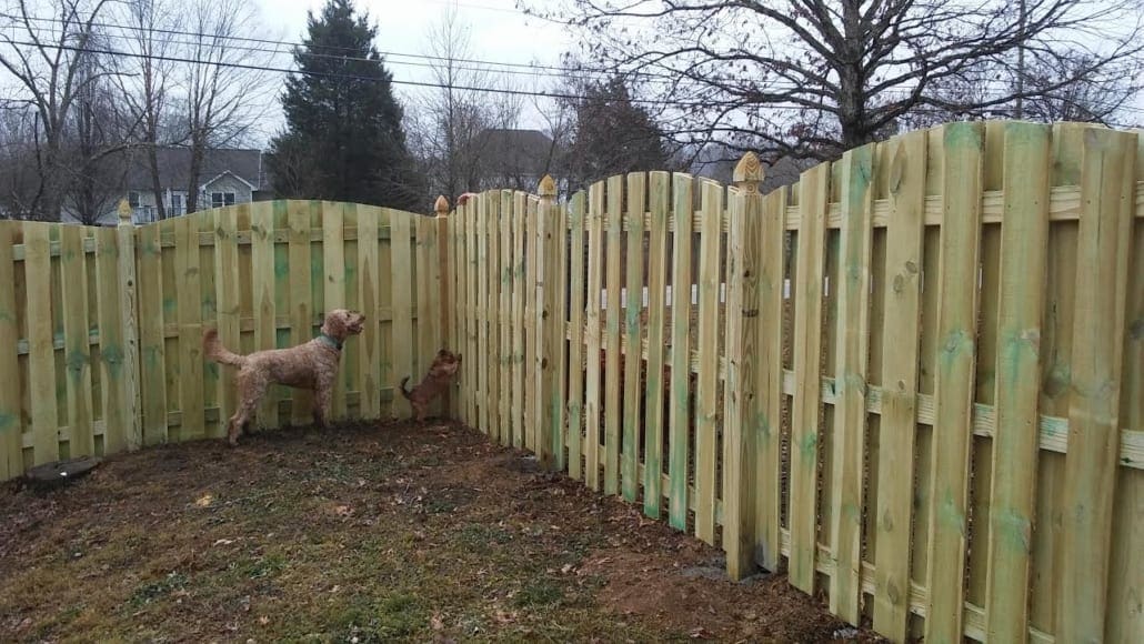  Knox Fence